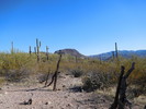 photo thumbnail #3