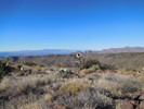photo thumbnail #12