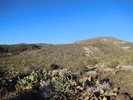 photo thumbnail #15