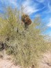 photo thumbnail #4