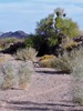 photo thumbnail #7