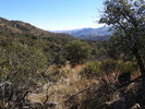 photo thumbnail #9