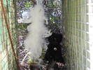 photo thumbnail #13