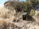 photo thumbnail #12