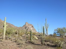 photo thumbnail #3