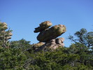 photo thumbnail #10