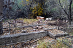 photo thumbnail #12