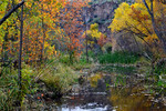 photo thumbnail #11