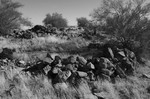 photo thumbnail #14