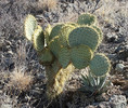 photo thumbnail #6