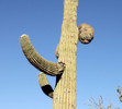 photo thumbnail #10