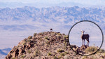 photo thumbnail #3