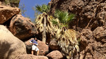 photo thumbnail #5
