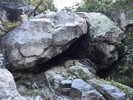 photo thumbnail #6