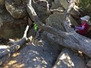 photo thumbnail #9
