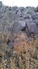photo thumbnail #14