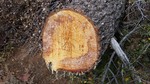 photo thumbnail #11