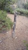 photo thumbnail #14