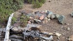 photo thumbnail #15