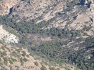 2016-12-10 :2: JF Trail to Tortilla Pass :: wallyfrack