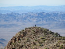 photo thumbnail #3