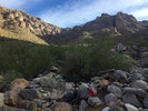 photo thumbnail #1