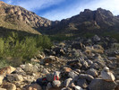 photo thumbnail #2