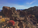 photo thumbnail #4
