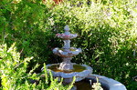 photo thumbnail #11