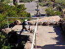 photo thumbnail #12