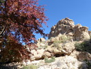 photo thumbnail #7