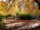 photo thumbnail #11