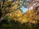 photo thumbnail #12