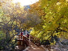 photo thumbnail #15