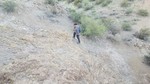 photo thumbnail #15
