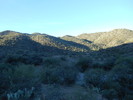 photo thumbnail #2