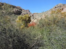 photo thumbnail #3