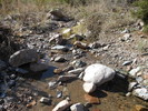 photo thumbnail #4