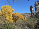 photo thumbnail #5