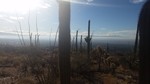 photo thumbnail #2
