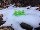 photo thumbnail #4