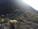 photo thumbnail #5