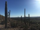 photo thumbnail #7