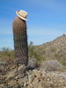 photo thumbnail #1