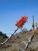 photo thumbnail #2