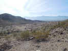 photo thumbnail #5