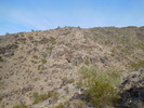 photo thumbnail #9