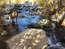 photo thumbnail #8