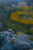 Featured Full Photo