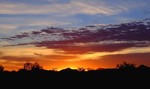 photo thumbnail #11